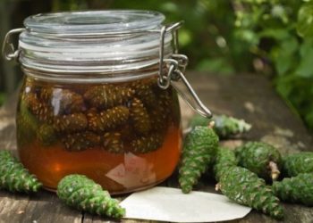 Уникальное средство от кашля, ангины и простуд